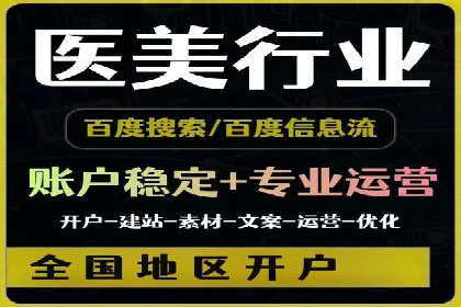 顶级SEM运营公司案例分析